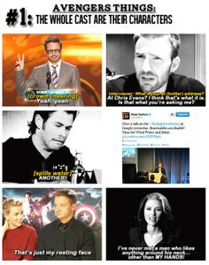 Avengers: The whole cast are their characters