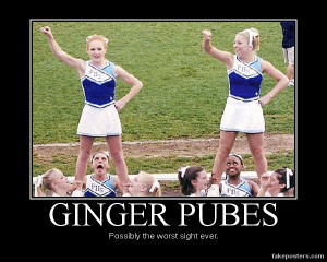 Ginger Pubes - Demotivational Poster