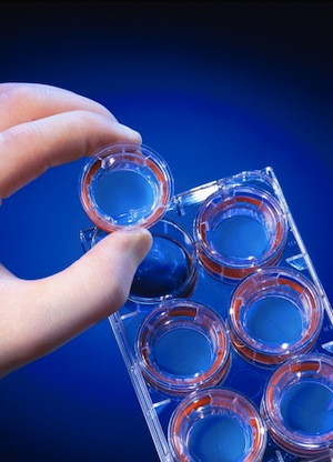 famous biology quotes