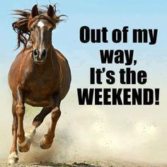 Out of my way, it's the WEEKEND! #horse