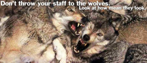 Now, onto the blog. Thanks for sticking with me through the ...