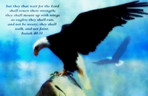 As Eagles - Bible, Eagle, Scripture, Jesus, God, Holy Spirit God ...