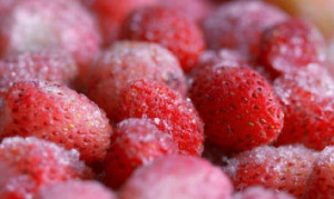 Freezing options...lots