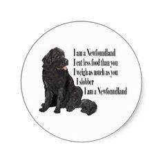 Newfoundland Funny Dogs Original Art Print - Humorous Dog Breed Art ...