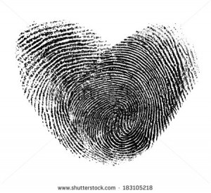 fingerprint heart isolated on white - stock photo