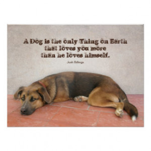 Dog Quotes Posters & Prints