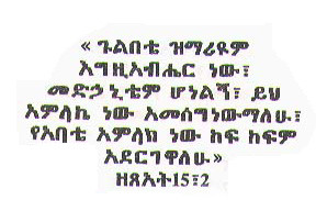Amharic And Tigrignia Bible...