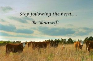 STOP Following the Herd! Be Yourself. Blog post by Dale Anne Potter.