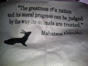 Gandhirific quote for the animal lover / crazy cat lady in me!