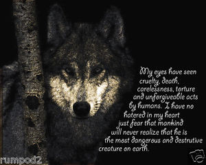 Wildlife-Wolf-Poster-Animal-Print-Enviormental-Environment ...