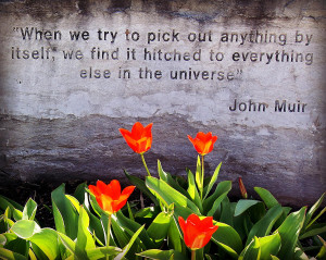 John Muir Quote Photograph