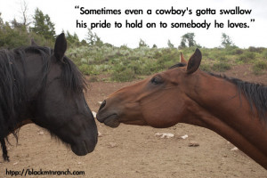Cowboy Sayings and Quotes About Love