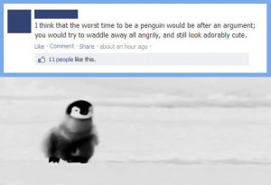 The worst time to be a penguin…