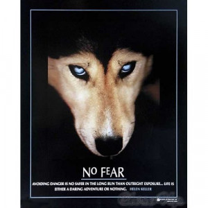 No Fear Wolf Helen Keller Quote Motivational Animal Poster 16 x 20 ...