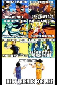 ... the relationship between Dragon Ball Z's Son Goku and Vegeta. More