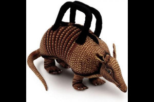Baby Armadillo Baby Armadillo