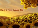 Have a nice, sunny day