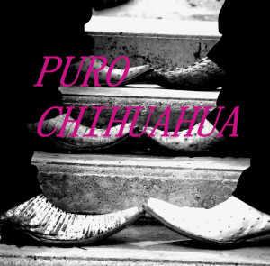 Puro Chihuahua Image