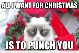 This Christmas Grumpy Cat And