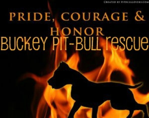 famous quotes about pit bulls famous quotes a