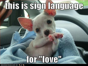 Sign language for love - teddybear64 Photo