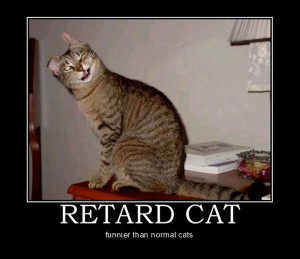 Animal Motivational Poster: Retard Cat