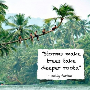 Goal Setting Quotes: Storms make trees deeper roots ~ Dolly Parton