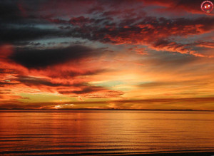 1915d1179687630-best-sunset-ever-best-sunset-ever.jpg