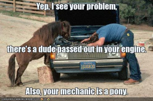 funny-pictures-pony-mechanic