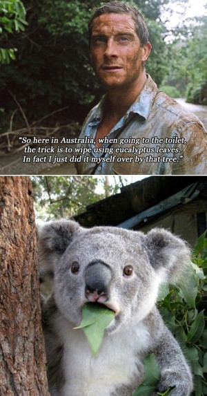 Funny-bear-grylls-meme-resizecrop--.jpg
