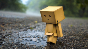 Home Browse All Rainy Danbo