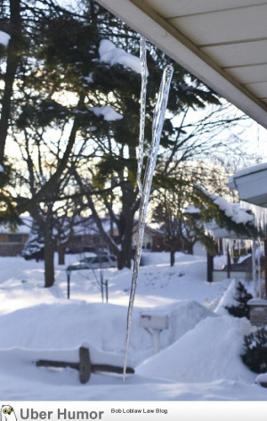 This icicle was saved by another icicle.