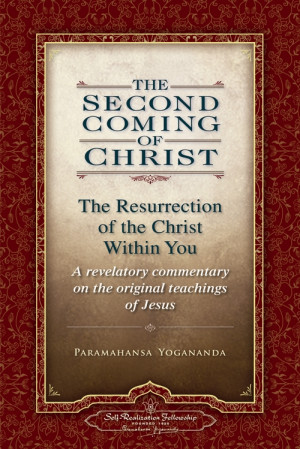 Review: The Second Coming of Christ: The Resurrection of the Christ ...