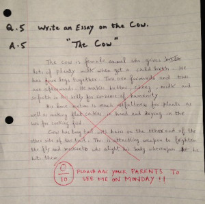 Funny-Answer-Sheets-Write-an-Essay-on-the-Cow-Funny-Exam-Answer-Sheets ...