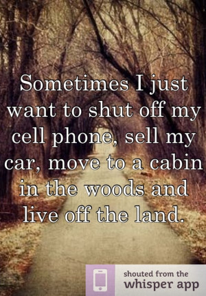 ... , sell my car, move to a cabin in the woods and live off the land