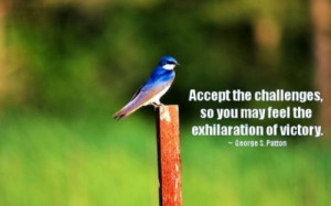 ... Accept the challenges, so you may feel the exhilaration of victory