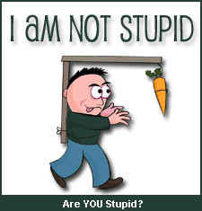 you are not stupid congratulations you re not as stupid as you look ...