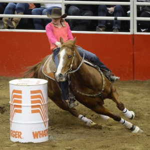 Related Pictures barrel racing sayings and quotes