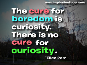 Curiosity Quotes Funny ~ Life Curiosity Quotes Always Curiosity Is The ...