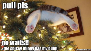 ... up already funny christmas animal pics 55 pictures of funny animals