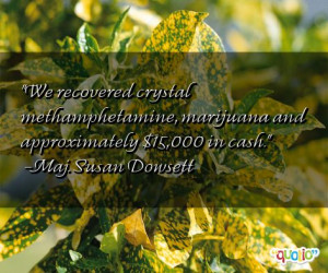 We recovered crystal methamphetamine , marijuana and approximately $ ...
