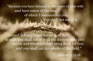 Genesis 3.17 18 Bible Verse