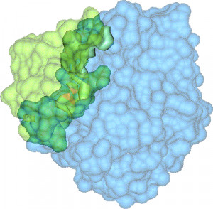Character reference unfit mother battle sample letter