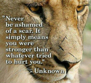 Unknown quote on scars