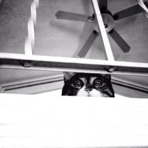 Pinned by Christie Perry