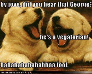 funny animals :)) - funny-jokes Fan Art
