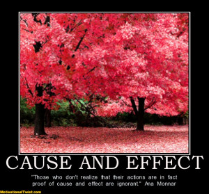 CAUSE AND EFFECT - 