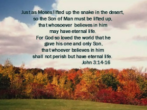 HAPPY THANKSGIVING TO MY FLICKR FAMILY AND FRIENDS. I GIVE THANKS FOR ...