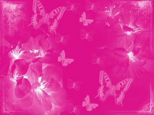 Pink Butterflies Graphics Code Comments Pictures HD Wallpaper