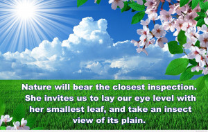 nice nature cute nature quote